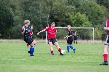 Bild 307 - Frauen SG NieBar - HSV 2 : Ergebnis: 4:3